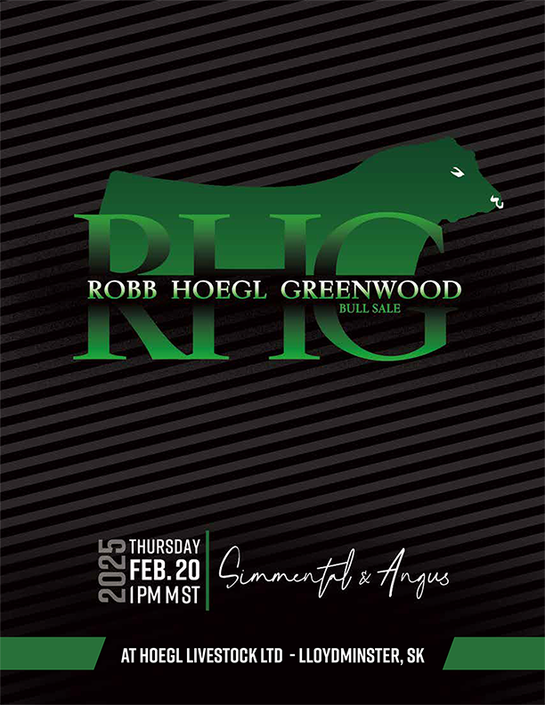 RHG_2025_BullSale-3-1