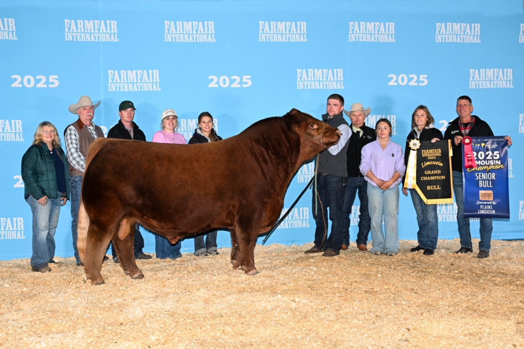 AHL GW LIVING THE DREAM 2025 FFI