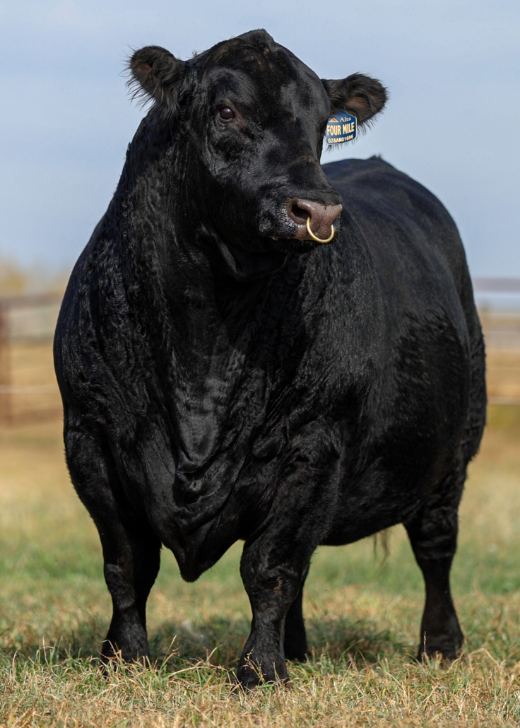 For Website 2025GreenwoodSept copy