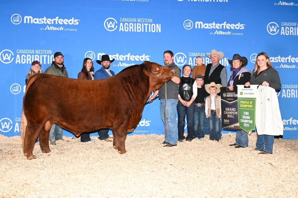 LIVING THE DREAM CWA 2025