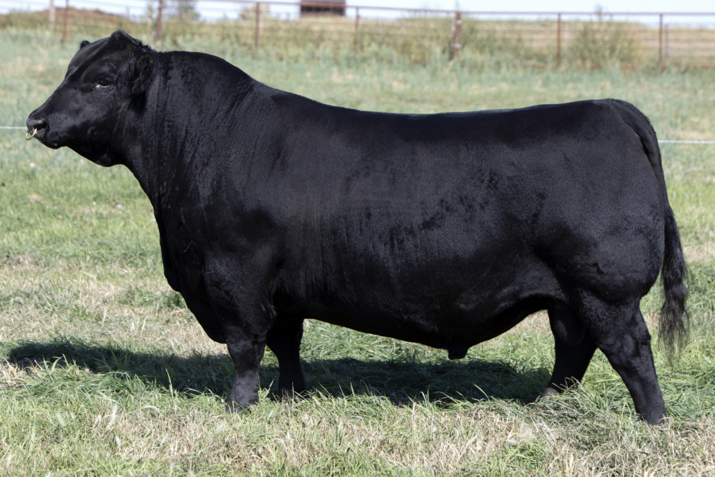 Resized 28Z son Greenwood Four Mile 47J