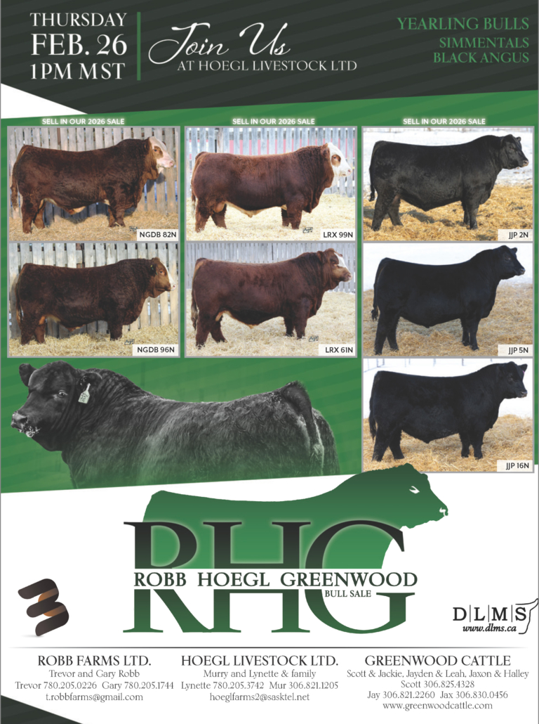 Resized BA_Spring26_WEB_Page_038 copy 2