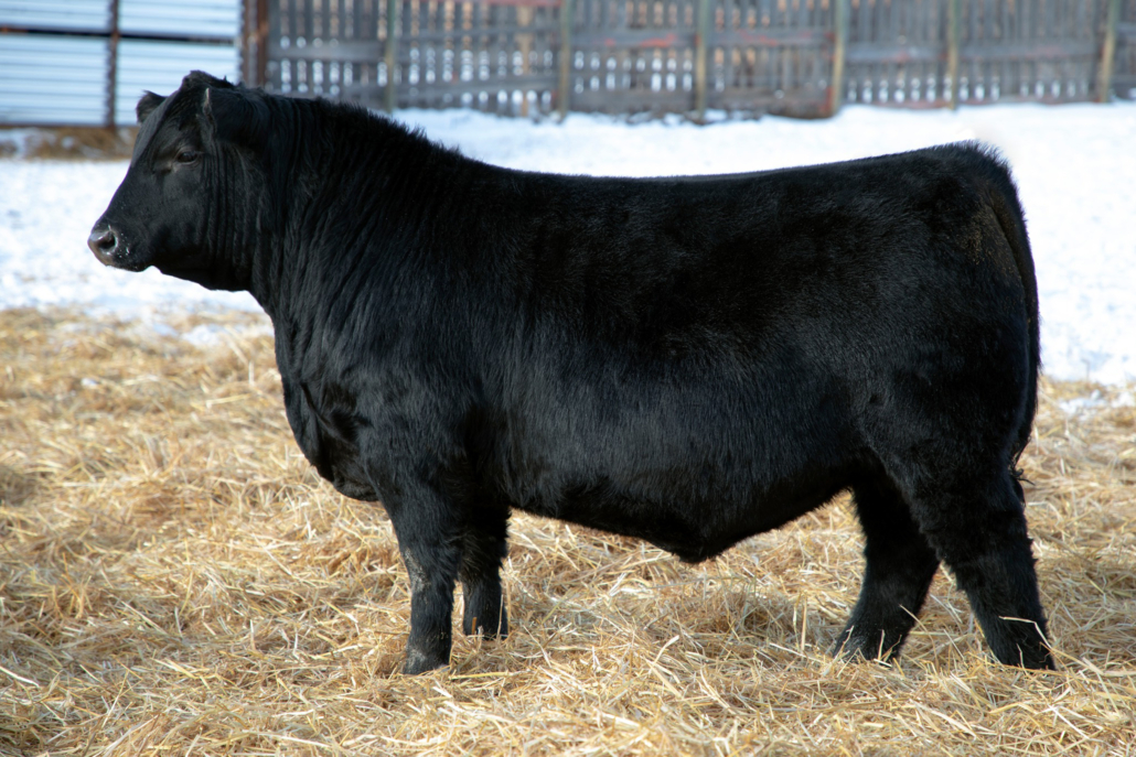 Resized Greenwood Revenue 175M